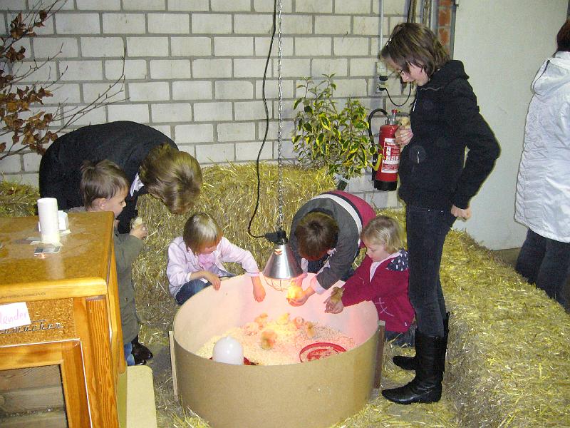 Mastholte 2008 195.jpg - Jugendbetreuung während der Rassegeflügelschau Mastholte 2008